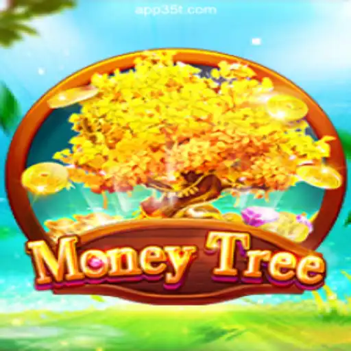 Discover MoneyTree: A Leading Betting Platform in Brazil